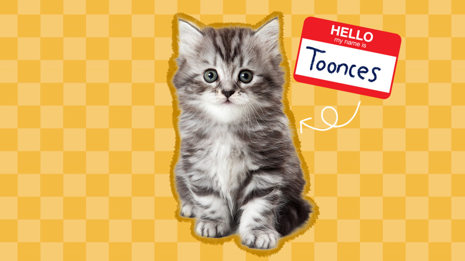 75+ Cute Cat Names That Will *All* Your Favorite DodoWell