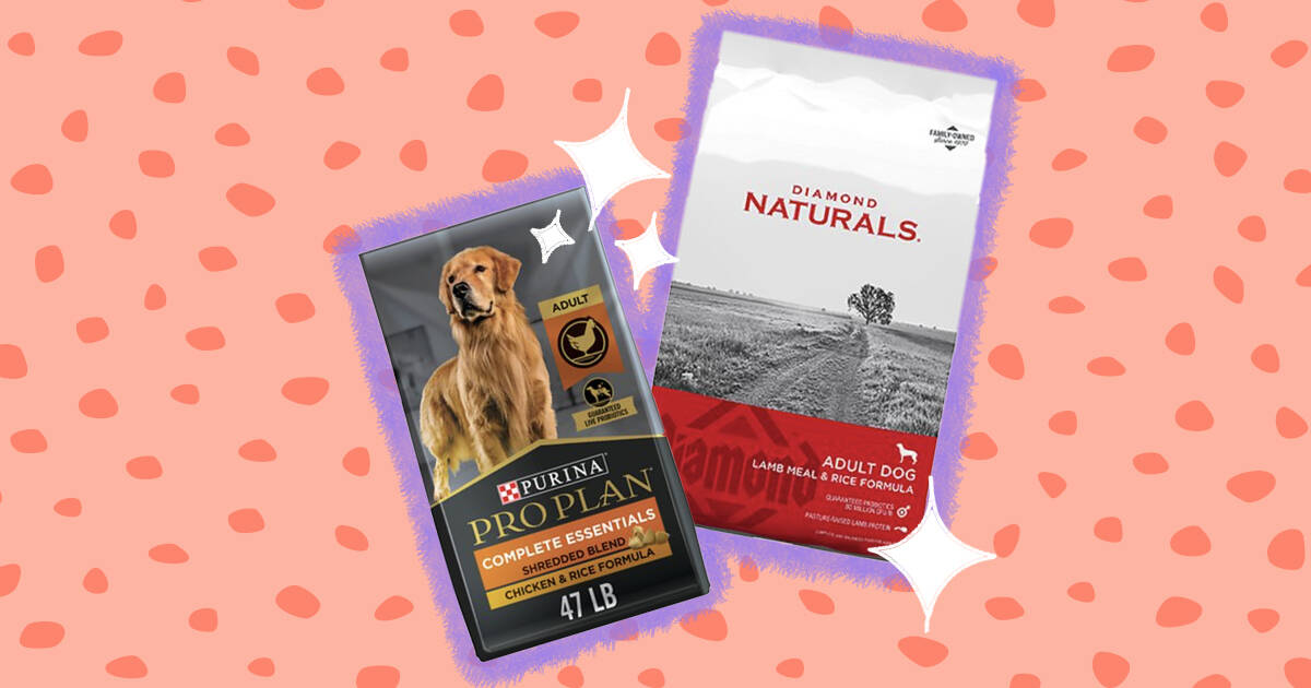 Top rated dog foods hotsell by vets