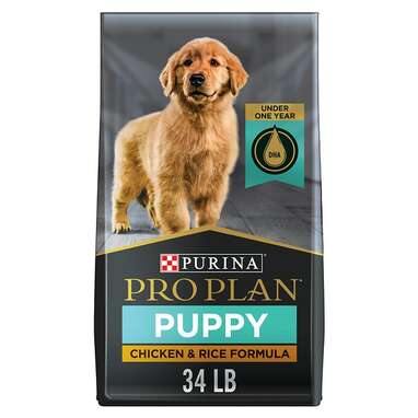 Best dry food for doberman best sale