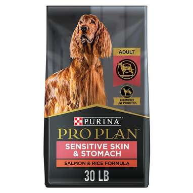 Best dog food for dry skin hotsell