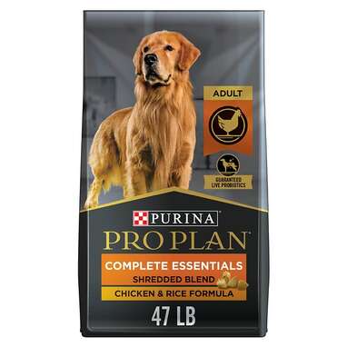 Best overall dry dog food: Purina Pro Plan Savor Adult Shredded Blend