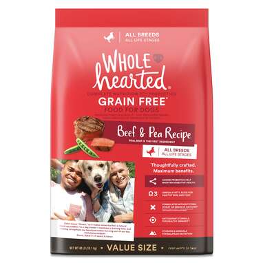 what is the best healthiest dry dog food