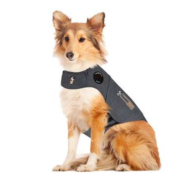 Thundershirt yourself new arrivals