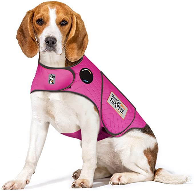 Best dog outlet thundershirt