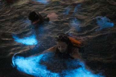 swimming in a bioluminescent bay