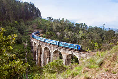 train on high bridge through forested mountain