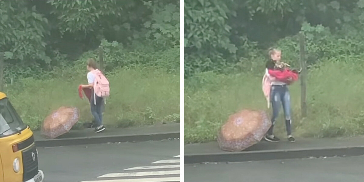 Angel' Spotted Saving A Stray Dog On Her Way Home From School - The Dodo