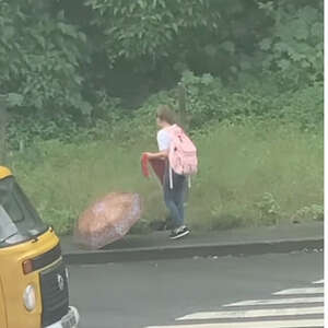 'Angel' Spotted Saving A Stray Dog On Her Way Home From School