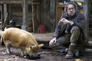nicolas cage in pig