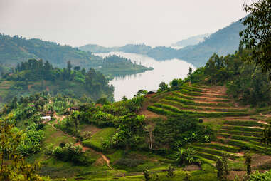 Farmland on steep hillside near Lake Kivu, Rwanda