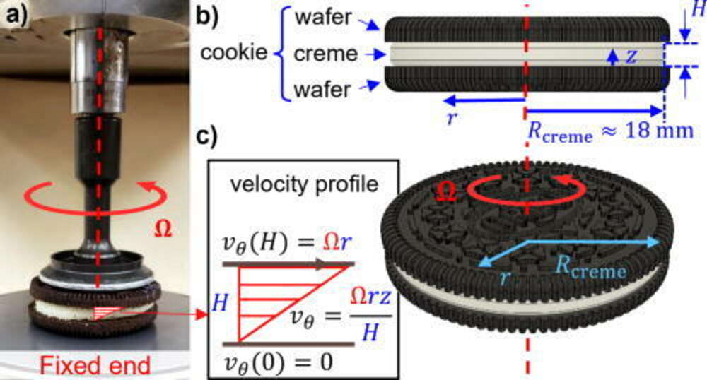 Exploding Oreo Cookies Researchers Attempt to Open Oreo Cookies Without Splitting the Creme ...