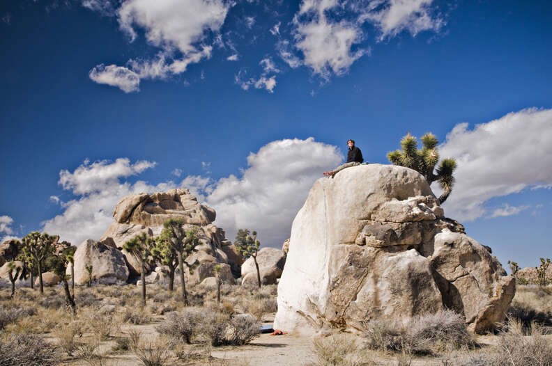 A person sitting on a tall rock in Joshua Tree