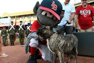 Louisville Bats