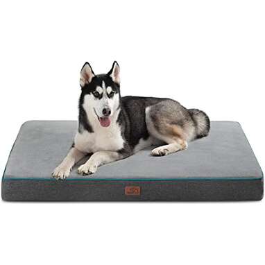 Best overall: Bedsure Orthopedic Dog Bed 