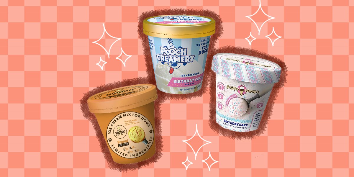 Pooch creamery ice clearance cream