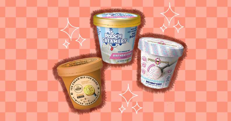 Best ice shop cream for dogs