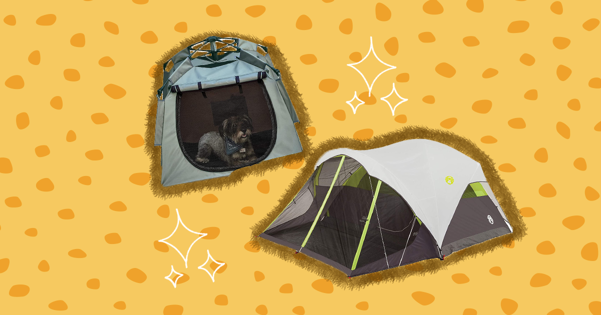 Best Tents For Camping With Dogs 6 Options For A Good Night s