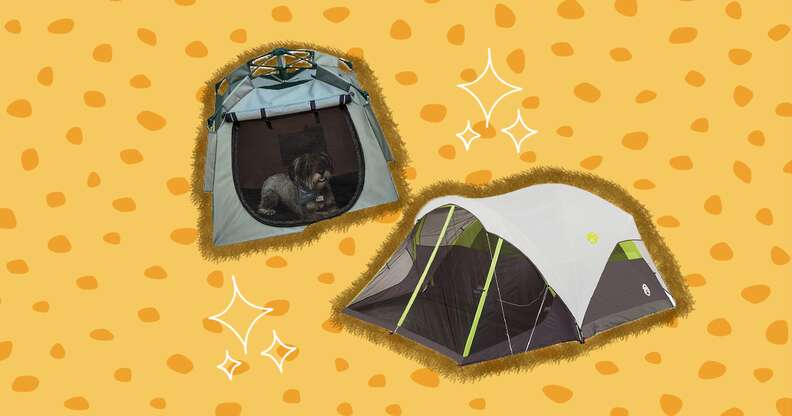 Best tents for camping hot sale with dogs