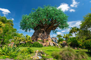 General views of the 'Tree of Life' at Animal Kingdom