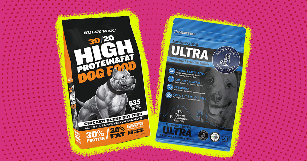 Best Dog Food For Pitbulls 4 Vet Approved Brands To Feed Your Pittie DodoWell The Dodo