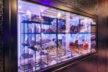 smallhold mushroom farm