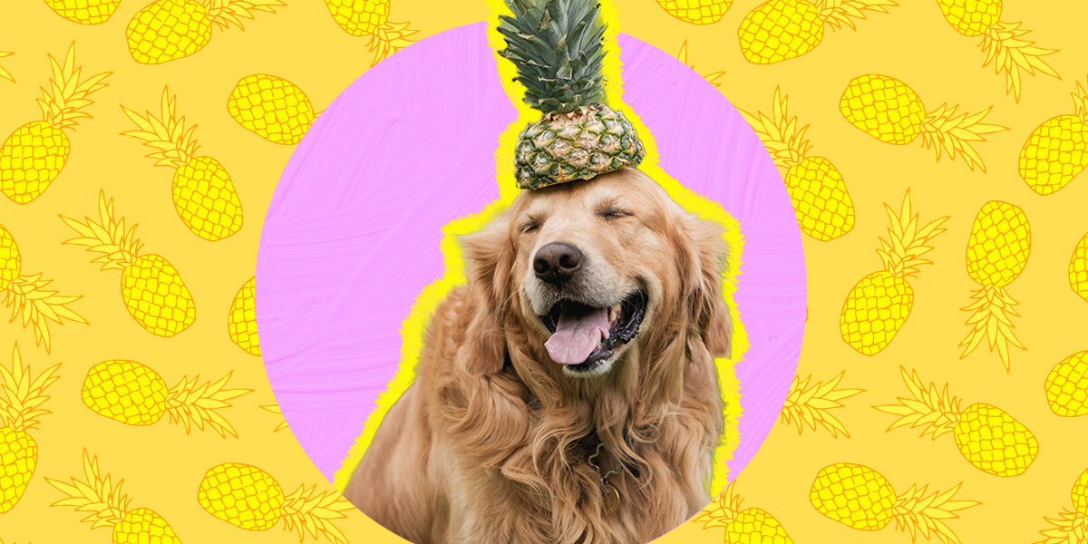 Can dogs shop eat canned pineapple