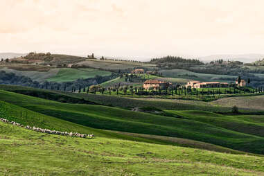 Country Road Through Green Hills by Mitch Diamond