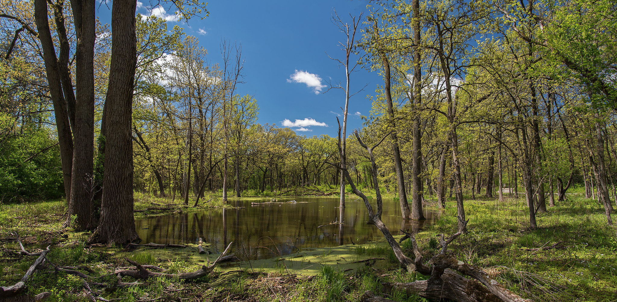 Waterfall Glen Forest Preserve
