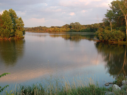 Ned Brown Forest Preserve (Busse Woods): Elk Grove Village, IL - Thrillist