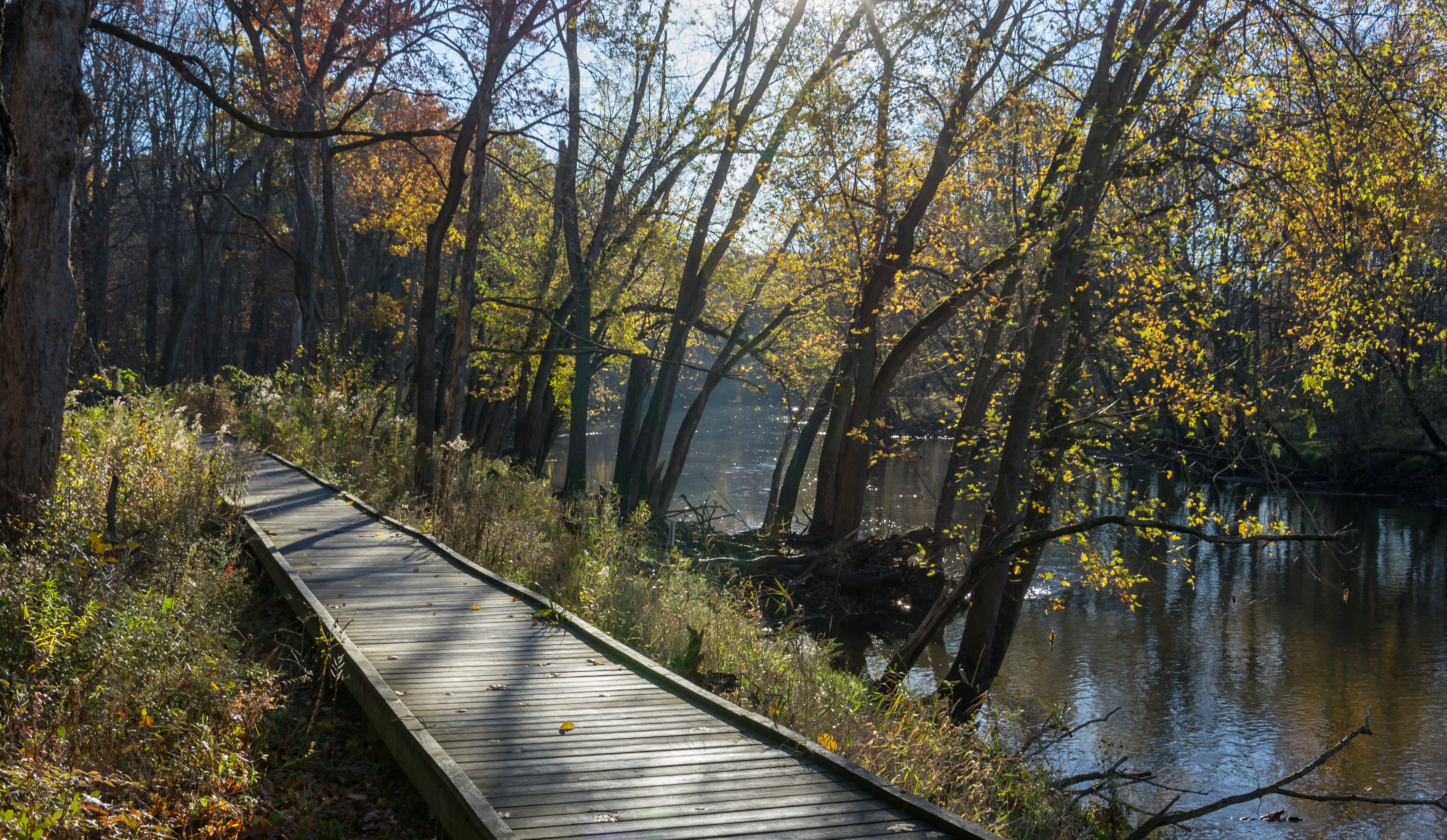 Ryerson Conservation Area