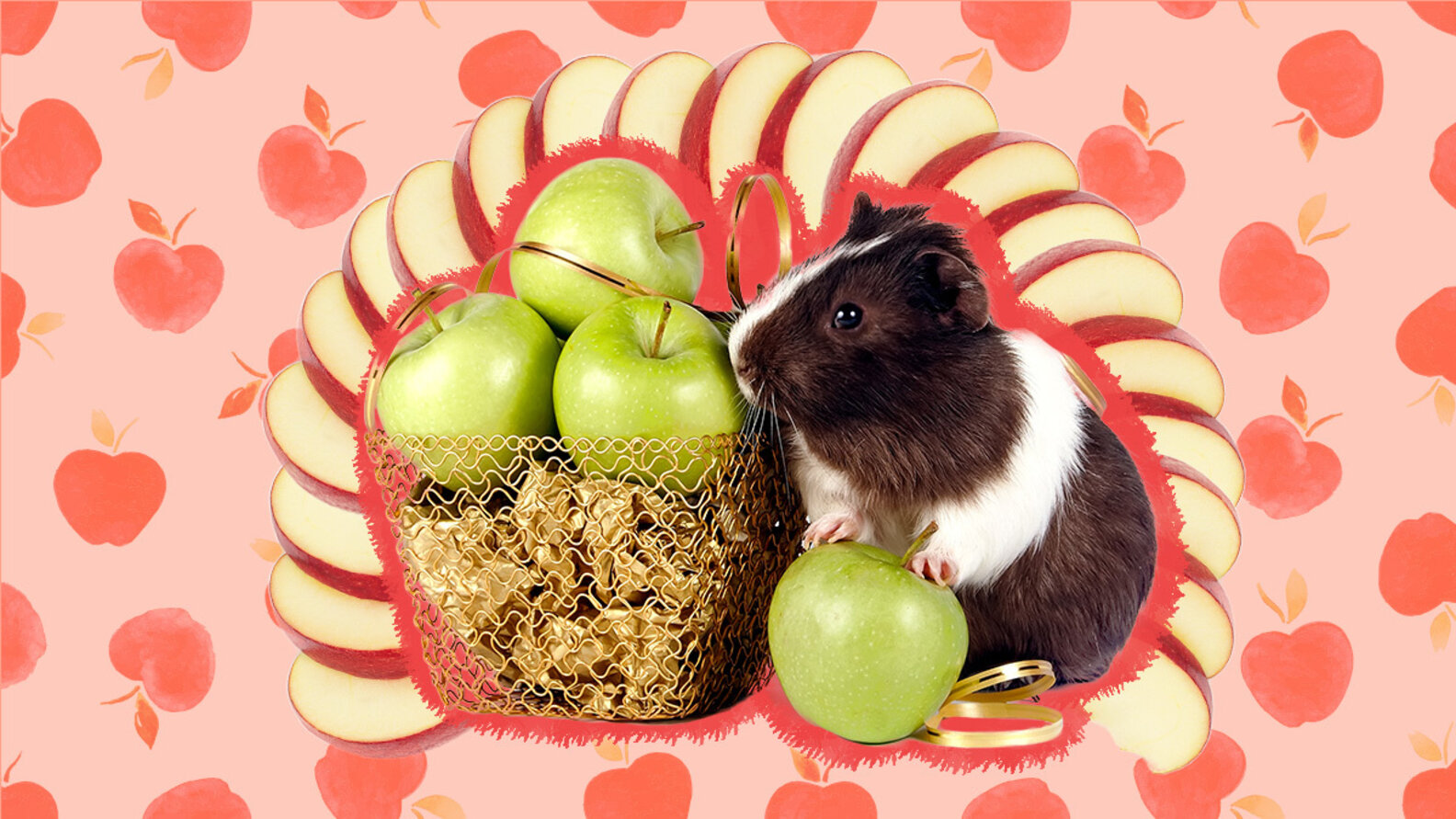 Can Guinea Pigs Eat Apples? Our Veterinary Experts Weigh In DodoWell The Dodo