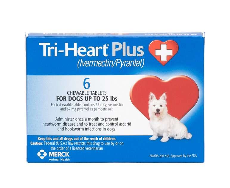 best heartworm prevention medication for dogs
