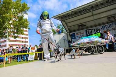 an alien walking a dog at a festival