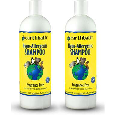 Best natural dog shampoo for sensitive skin: earthbath Hypoallergenic Dog Shampoo