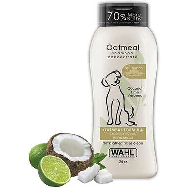 Best natural dog shampoo for dry or itchy skin: Wahl Dry Skin & Itch Relief Pet Shampoo for Dogs