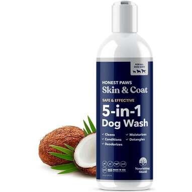 Best coconut-scented natural dog shampoo: Honest Paws 5-in-1 Oatmeal Shampoo and Conditioner