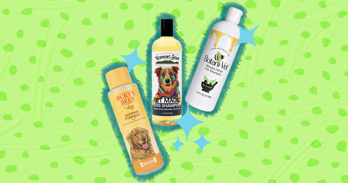 Human nature best sale dog shampoo