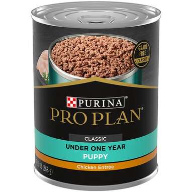 Best wet puppy food: Purina Pro Plan Development Puppy