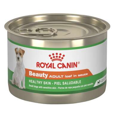 Best skin and coat wet dog food: Royal Canin Beauty Healthy Skin (5.2 oz, case of 24)