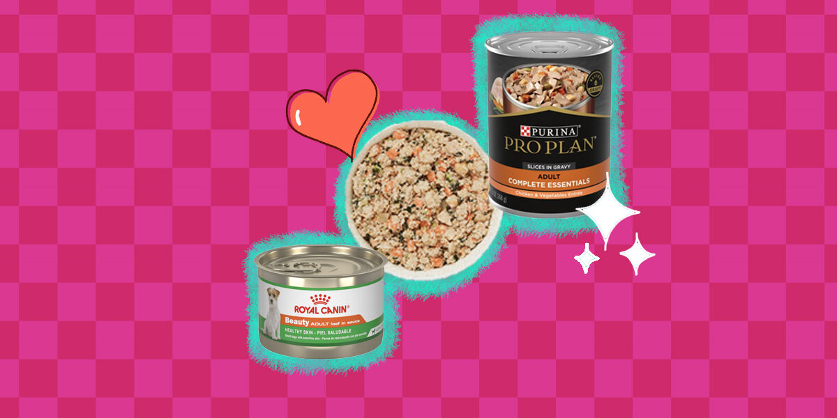 Best tasting clearance canned dog food