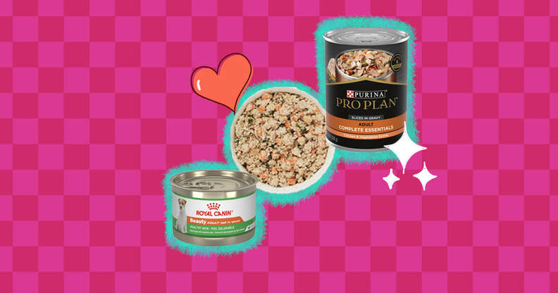 Best cat food according best sale to vets