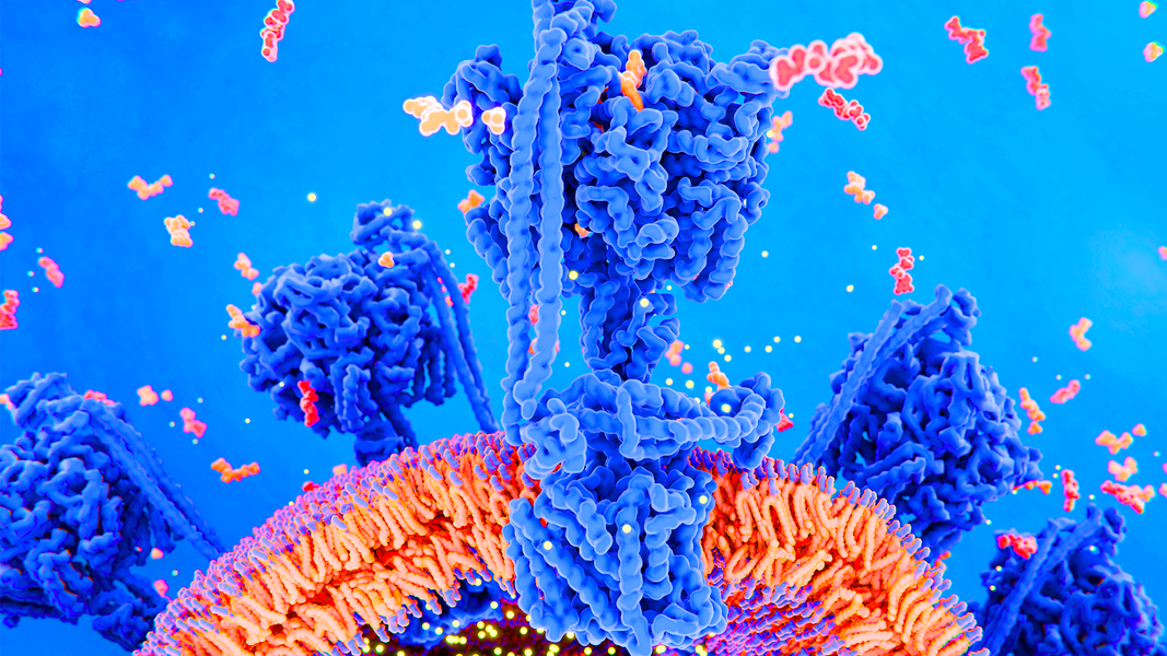 This Is How Your Body Turns Food Into Energy Videos Seeker