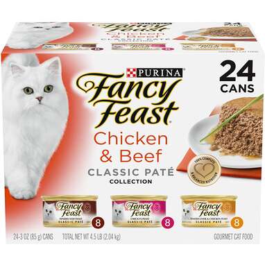 Grain Free Cat Food The 6 Best Options For Allergies And Advice From A Vet DodoWell The Dodo