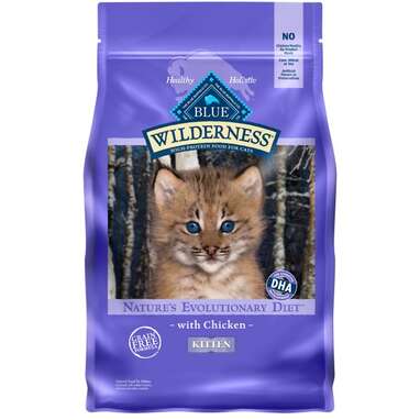 Best grain-free kitten food: Blue Buffalo Wilderness Kitten Grain-Free Dry Food