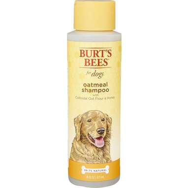 Best fragrance-free natural dog shampoo: Burt's Bees for Dogs Natural Oatmeal Shampoo for Dogs
