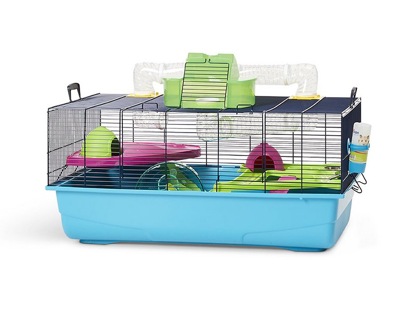 Best type 2024 of hamster cage