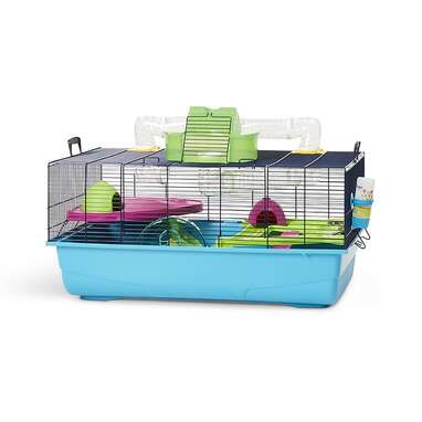 Best hotsell hamster habitat