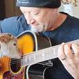 Rescue Lamb Is Obsessed With His Dad’s Guitar