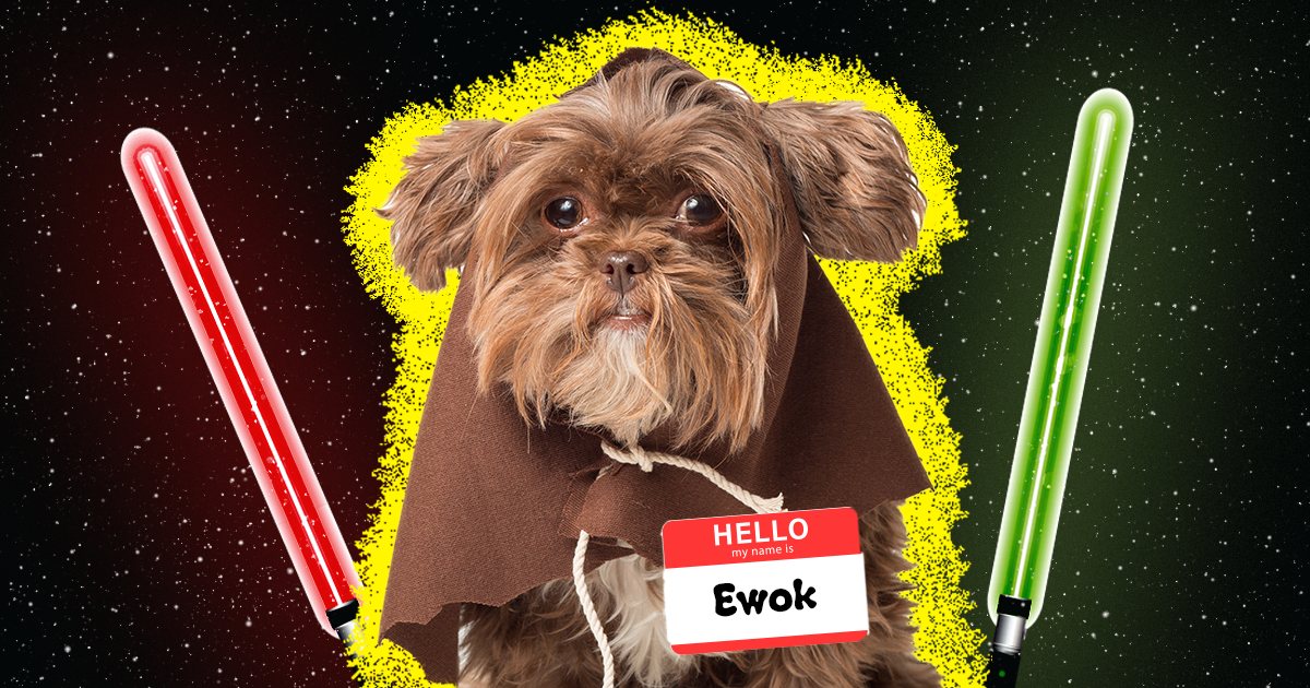 Star wars deals names for dogs