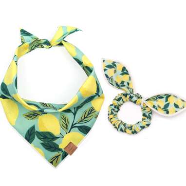 Best for dog moms who love matching their pups: Lemon Zest Scrunchie and Bandana Set